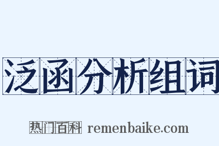 泛函分析组词是什么意思的图片